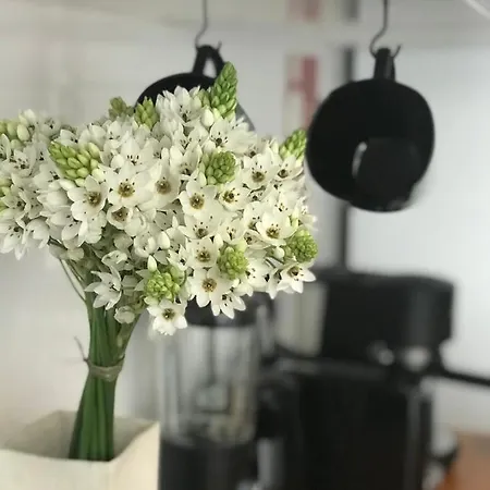 Casa Dos Poetas Hostel *